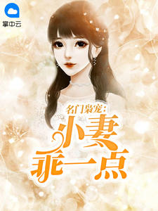 苏小鱼墨北枭之子于归