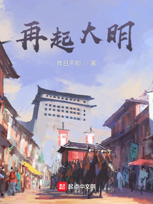 再起大明