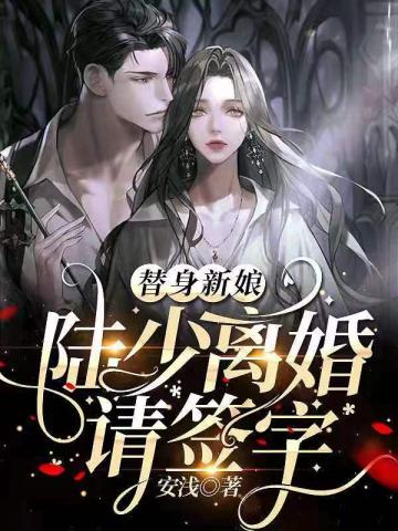 陆少离婚请签字