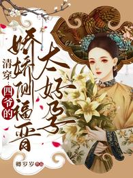 清穿：四爷的娇娇侧福晋太好孕