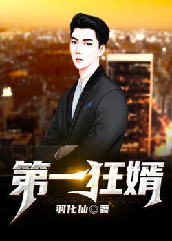 第一狂婿