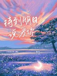 待到明日，说爱你