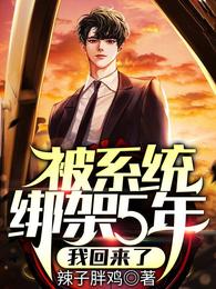被系统绑架5年，我回来了
