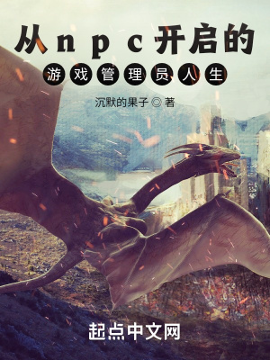 从npc开启的游戏管理员人生
