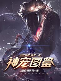 全民御兽：我有一本神宠图鉴